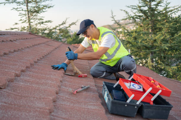 Best Roof Maintenance Services  in Verona, VA