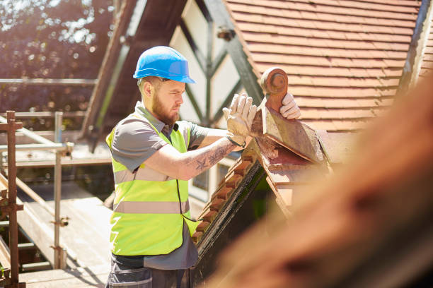 Best Roof Gutter Cleaning  in Verona, VA