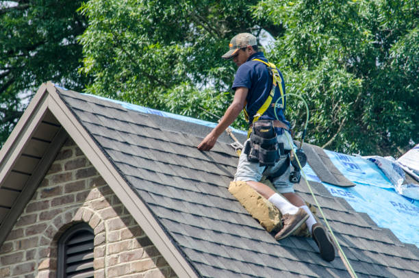 Best Metal Roofing Contractor  in Verona, VA